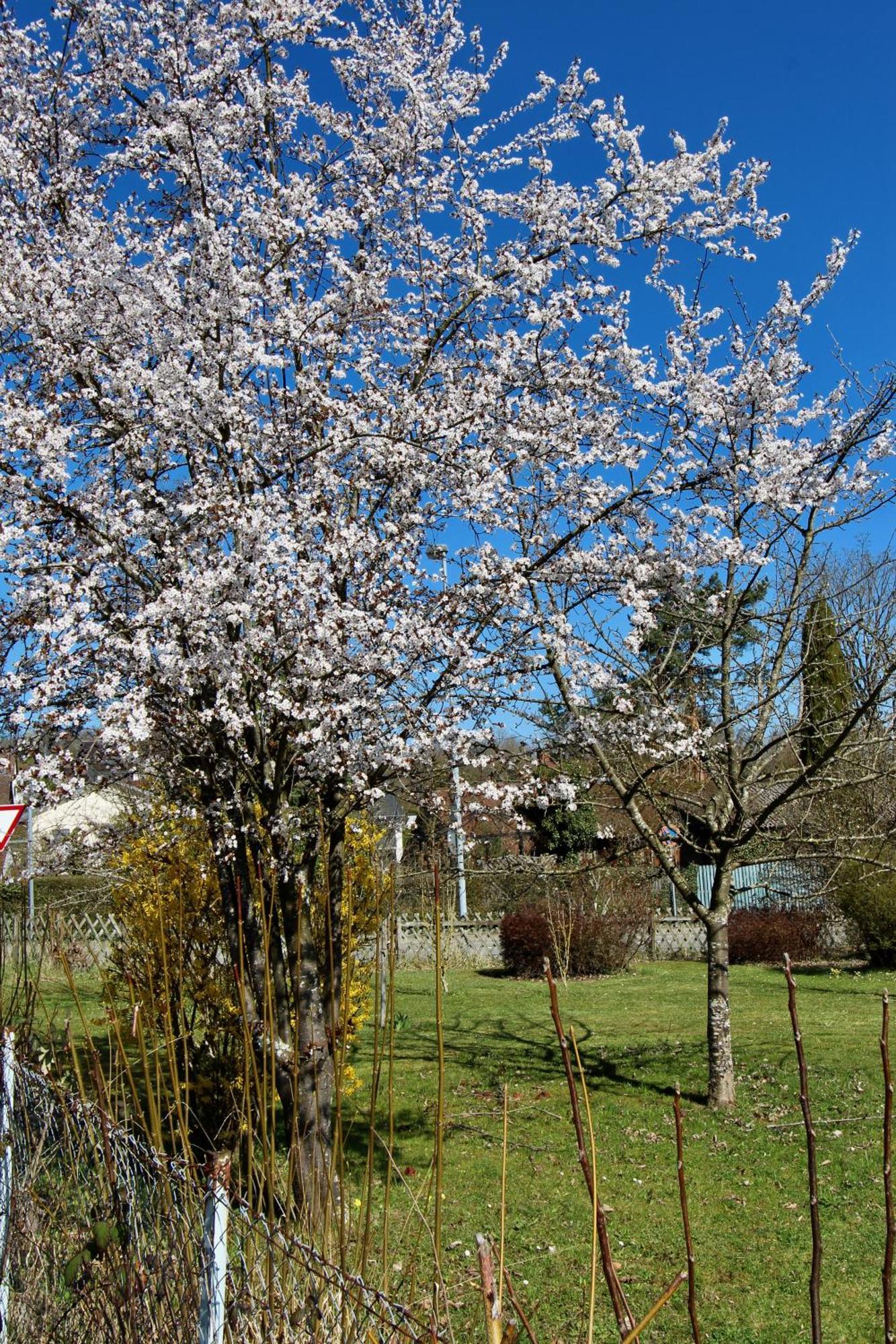 Appartement Fewo Im Birnaublick *